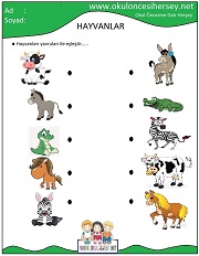 Hayvanlar Çalışma Sayfaları